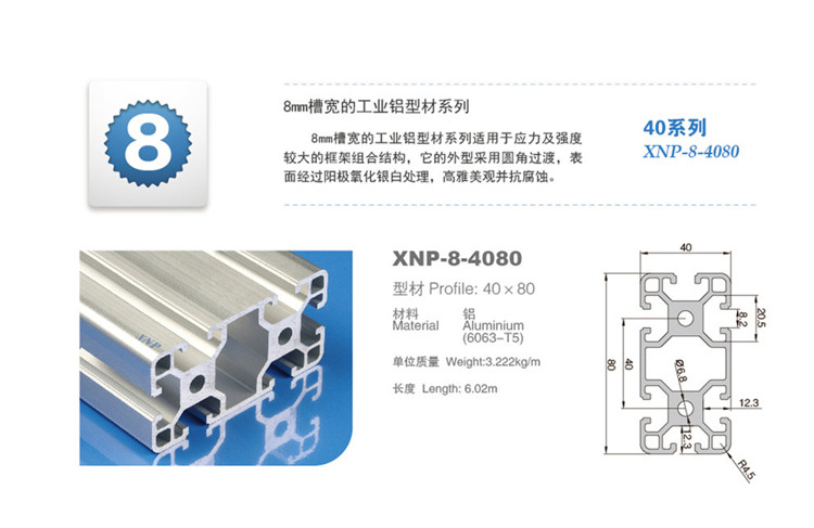 成人91看片软件成人看片网站